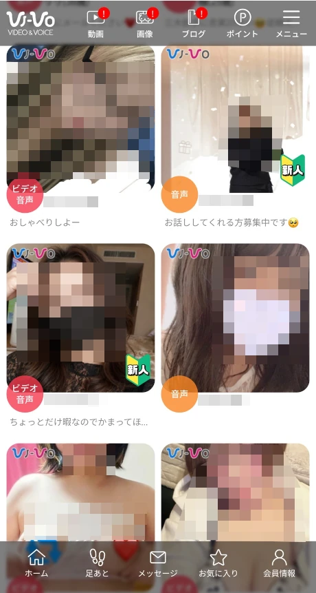 VI-VOのサイトイメージ